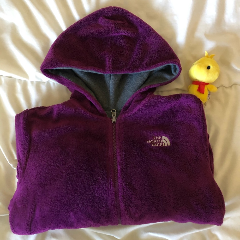 Reversible Magenta Purple/Gray North Face Jacket